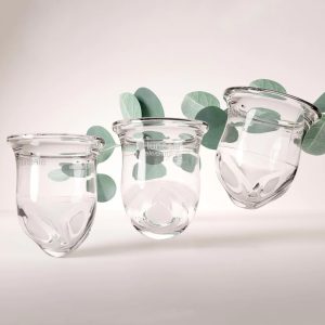 Luneale_月経カップ情報サイトCupsWithYou